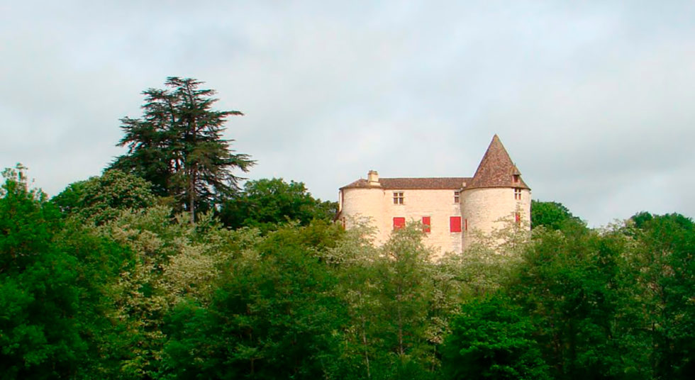 chateau saint germain des pres dordogne for sale